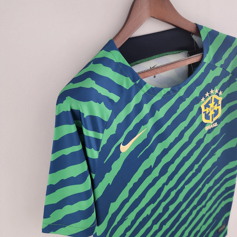 Camisa Seleção Brasil 2022 Nike - Verde e Azul - Edição Especial