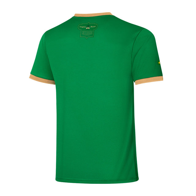 Camisa Palmeiras Edição Comemorativa 70 Anos Puma - Verde